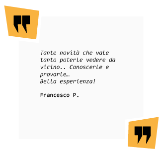 FrancescoP